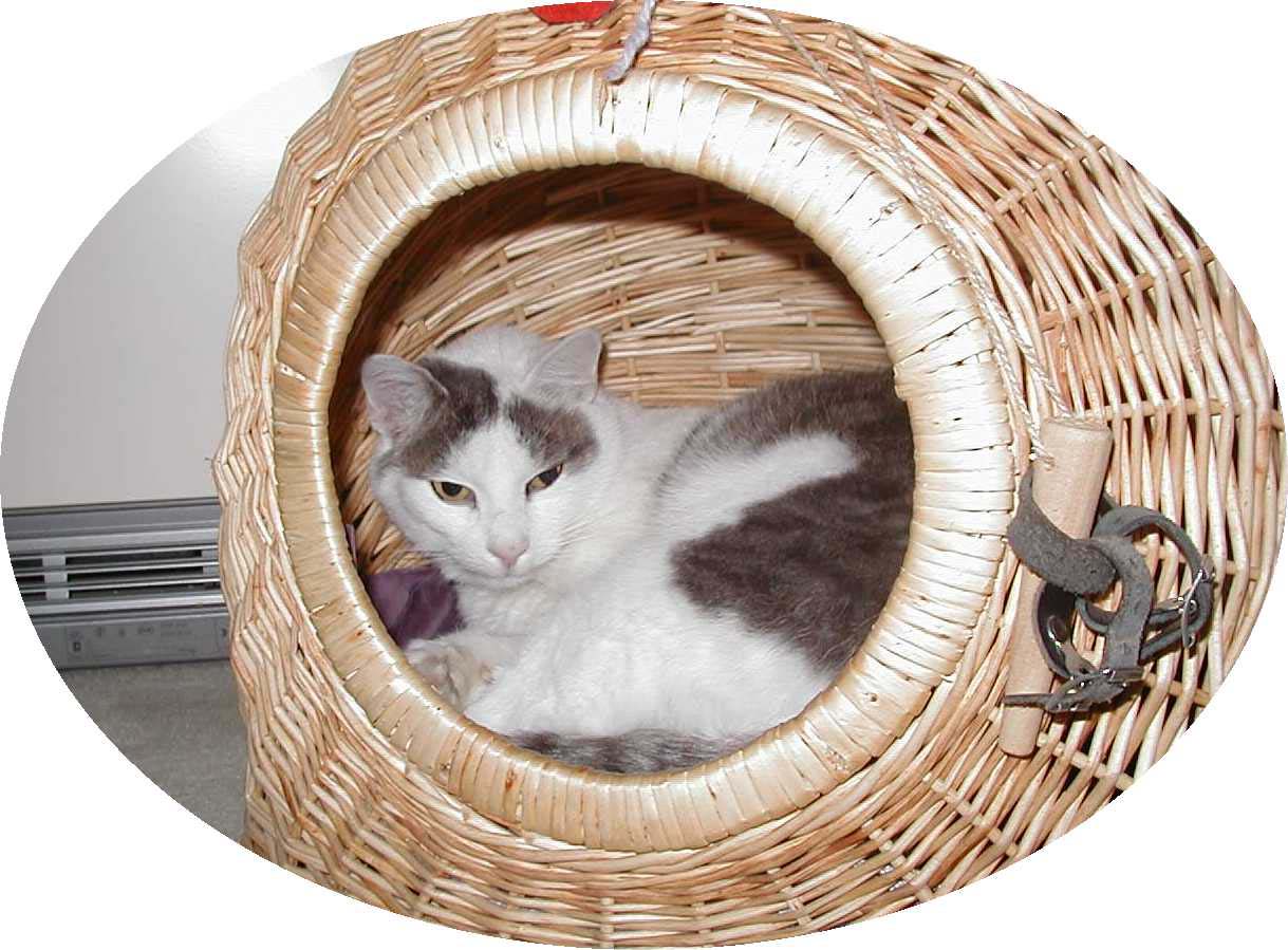 Dies war meine geliebte Lisa